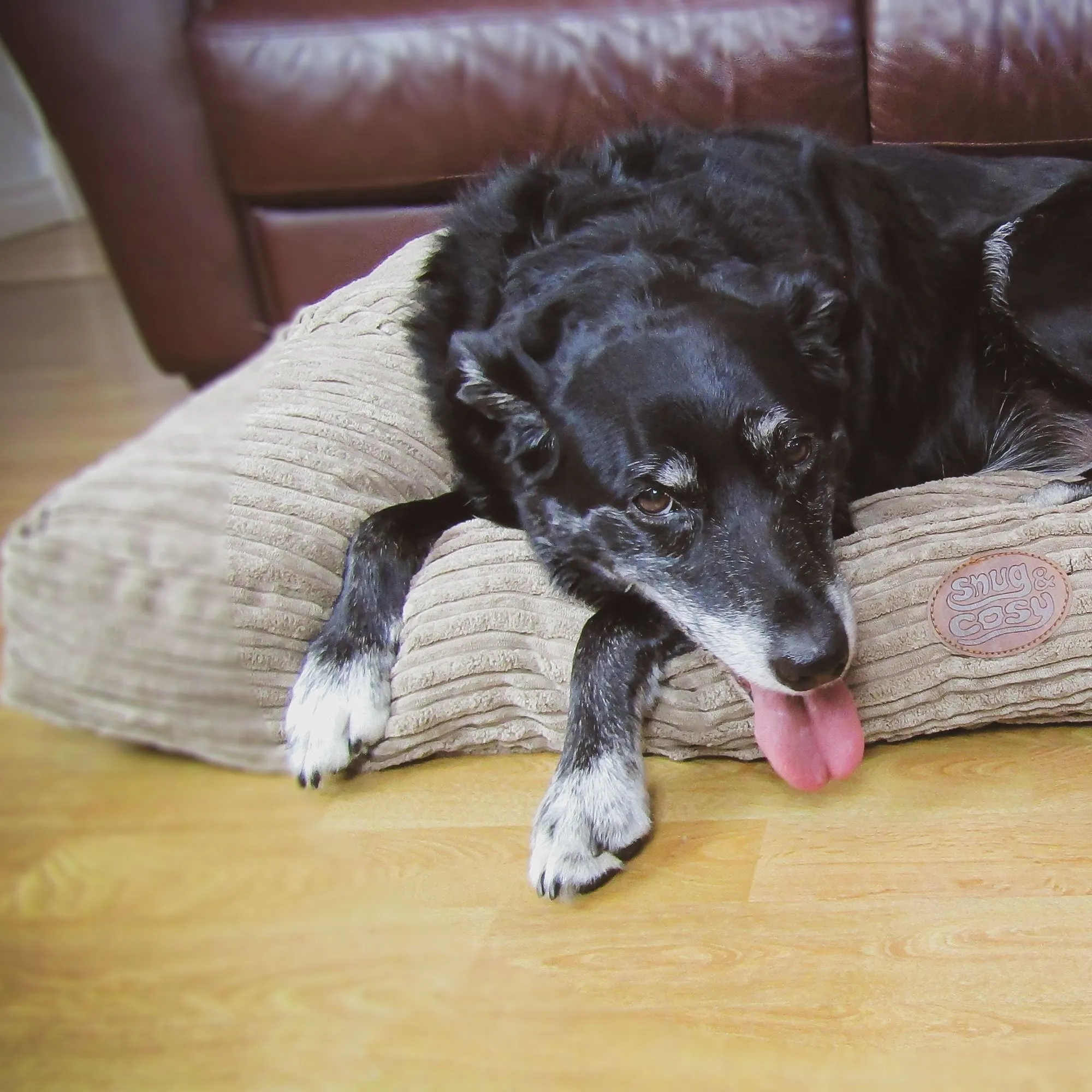 Snug & Cosy San Remo Lux Cord Mattress Lounger Dog Bed