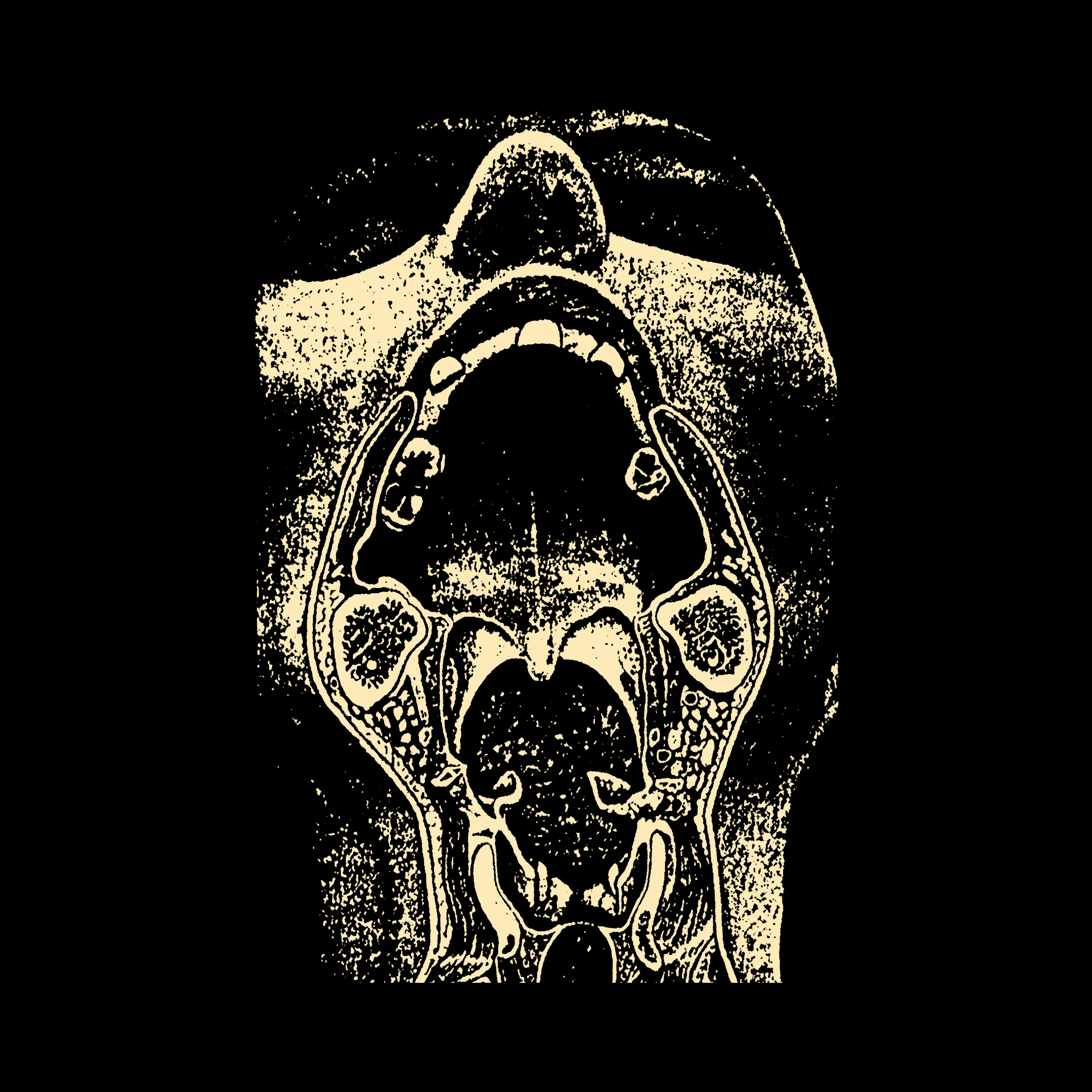 Throat Cross Section Slim Fit Tee